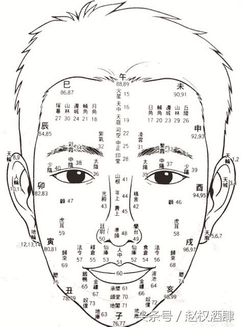 面相年齡|面相真人圖解：一生流年部位（建議收藏）！